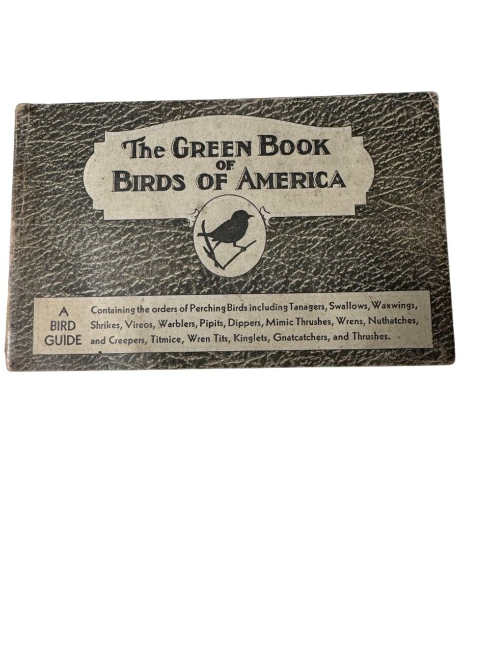 Vintage 1931 "The Green Book Of Birds Of America" By Frank G. Ashbrook